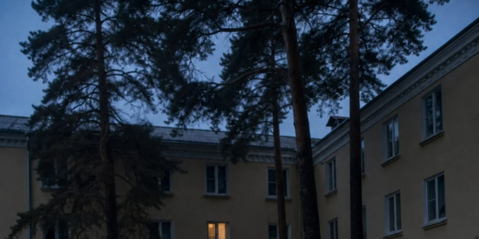 Среды в сосновом корпусе
