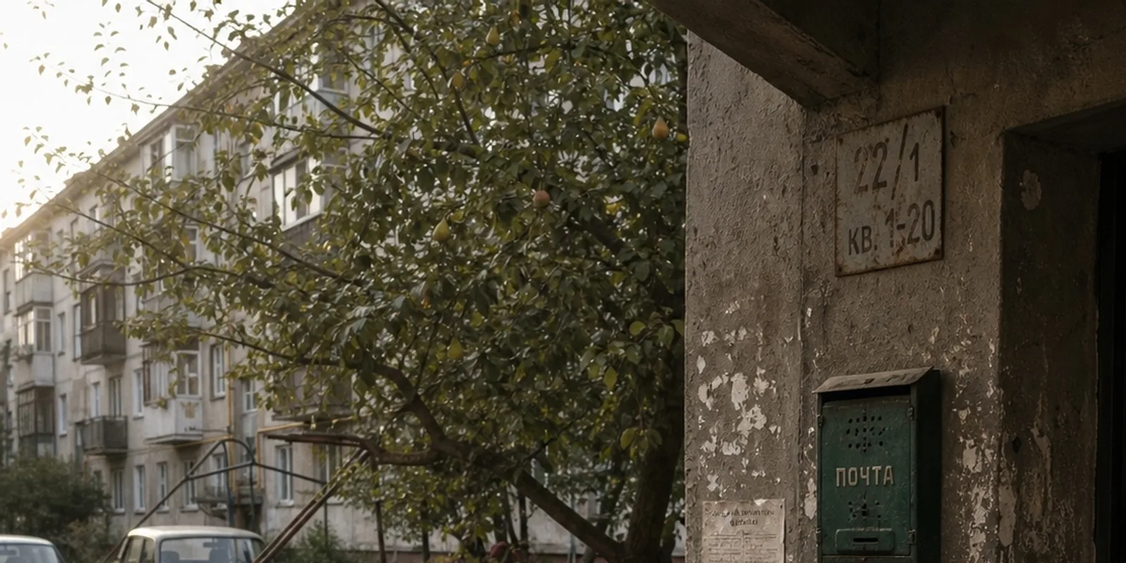 Тольич